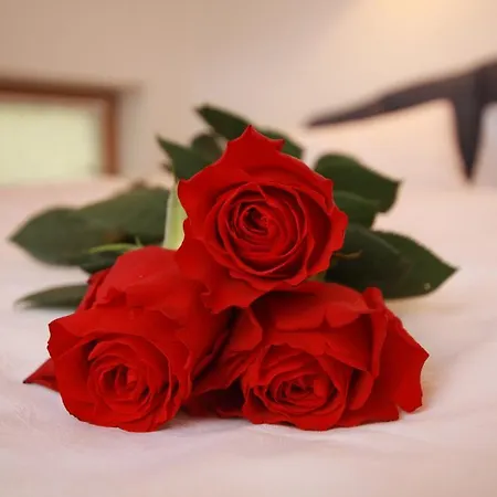 Haus Schoene Aussicht Berwang