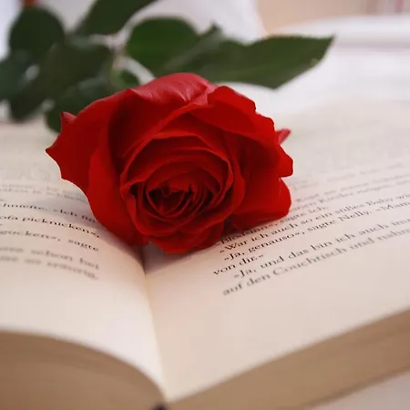 Haus Schoene Aussicht Appartement