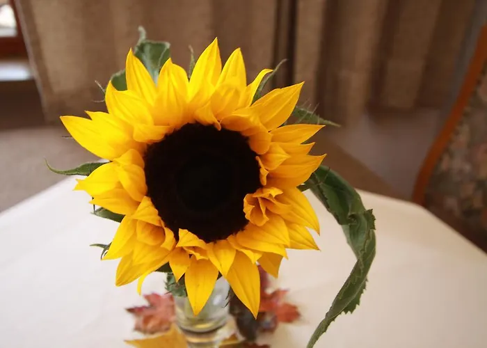 Haus Schoene Aussicht 아파트 베르왕