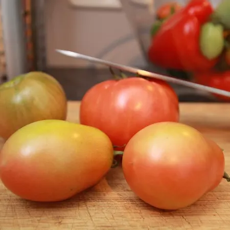 Haus Schoene Aussicht Daire Berwang