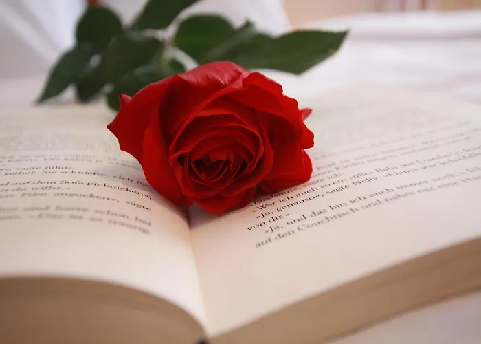 Haus Schoene Aussicht Appartamento